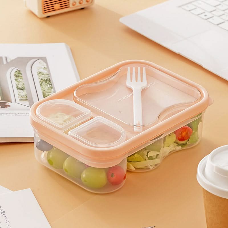 Double Layer Salad Lunch Box – Portable Japanese Meal Box with Compartments