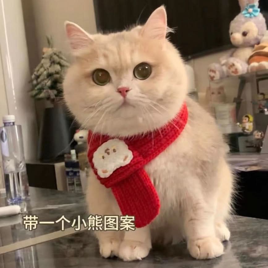 Monochrome Pet Scarf for Cats & Dogs