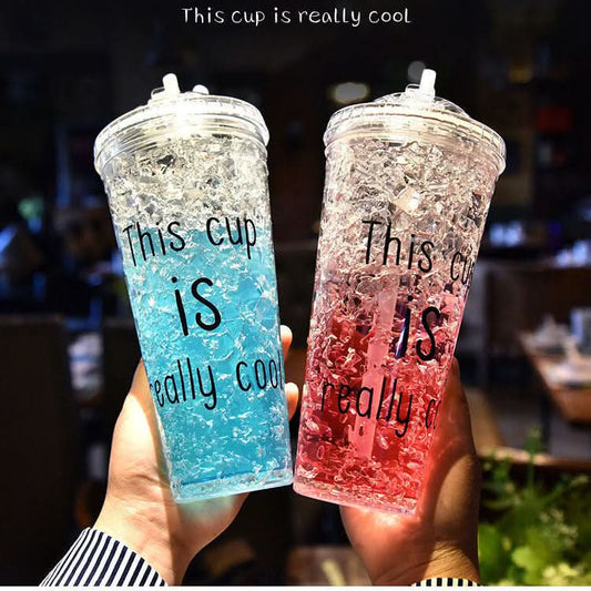 Double-Layer Plastic Tumbler with Straw