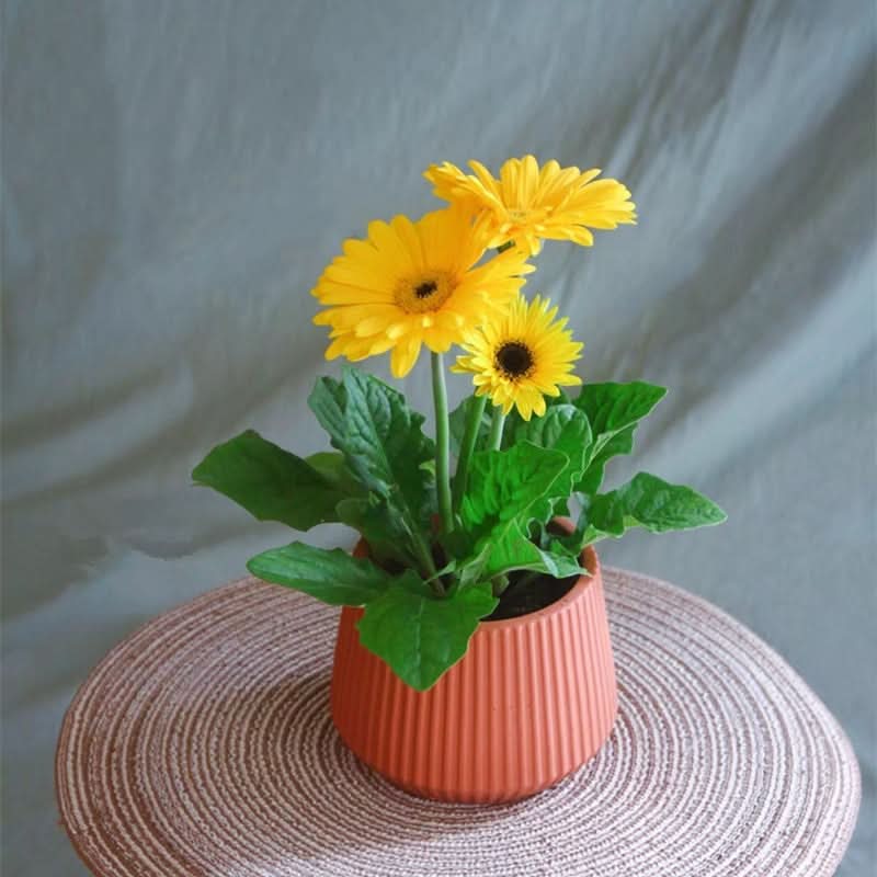 Creative Cement Succulent Basin - 3D Lines Flower Pot