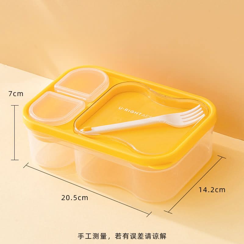Double Layer Salad Lunch Box – Portable Japanese Meal Box with Compartments