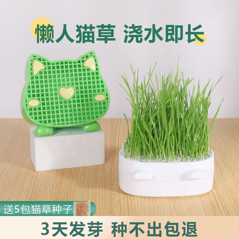 Cat Grass Growing Kit with Bowls