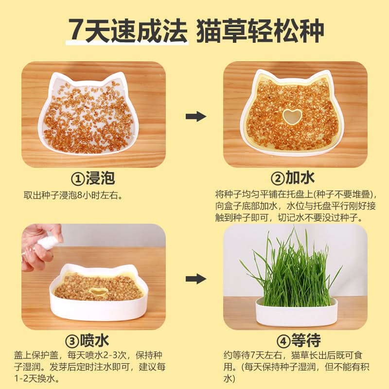 Cat Grass Growing Kit with Bowls