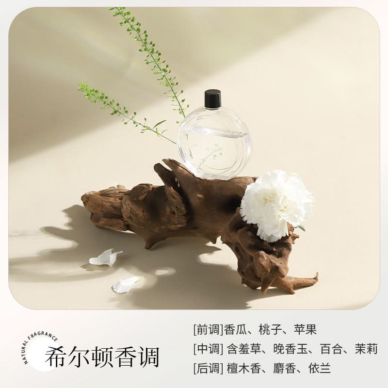 Automatic Aromatherapy Diffuser with Air Purification