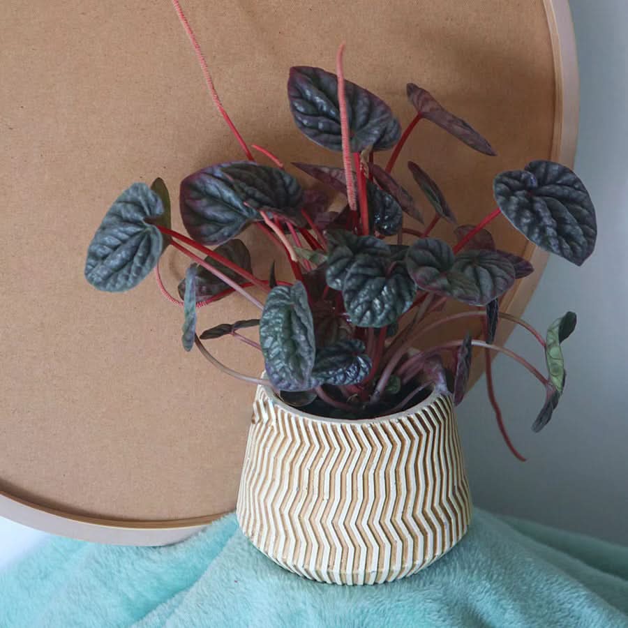 Creative Cement Succulent Basin - 3D Lines Flower Pot