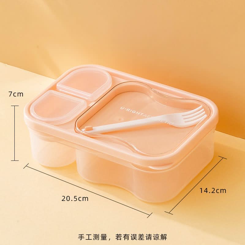Double Layer Salad Lunch Box – Portable Japanese Meal Box with Compartments