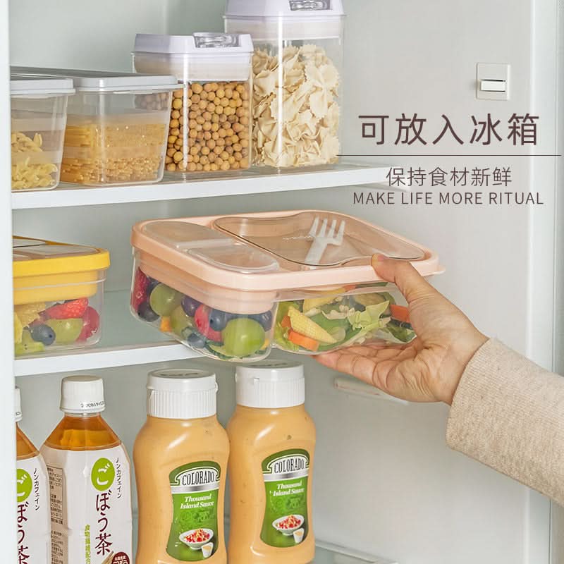 Double Layer Salad Lunch Box – Portable Japanese Meal Box with Compartments
