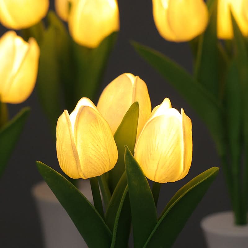 Set of 2 Tulip LED Night Lights – Warm Glow