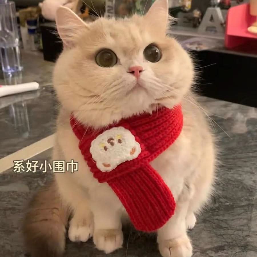 Monochrome Pet Scarf for Cats & Dogs