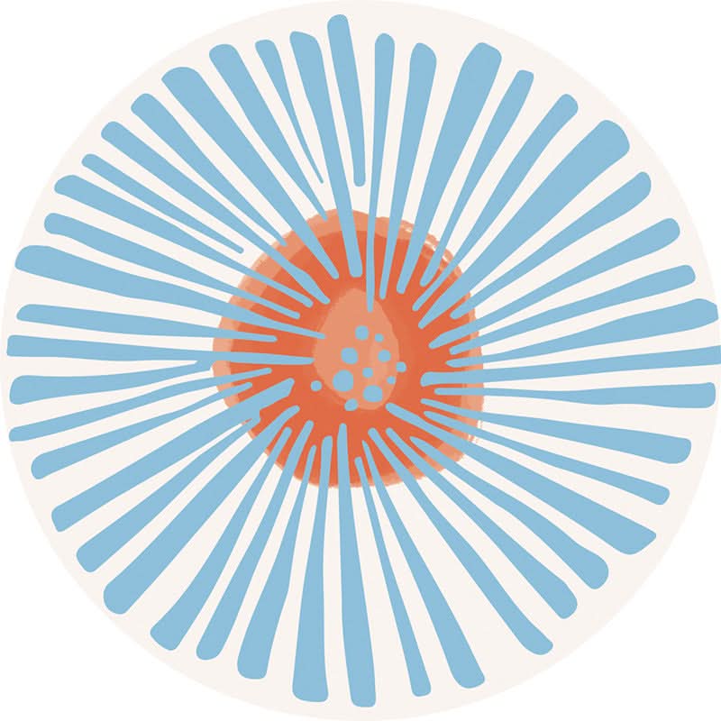 Oil-Proof & Scalding-Proof Coasters - Heat-Resistant Round Mats