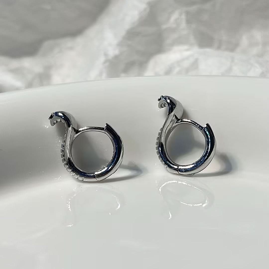 Unisex Titanium Steel Snake Earrings – Hip-Hop Cobra Design