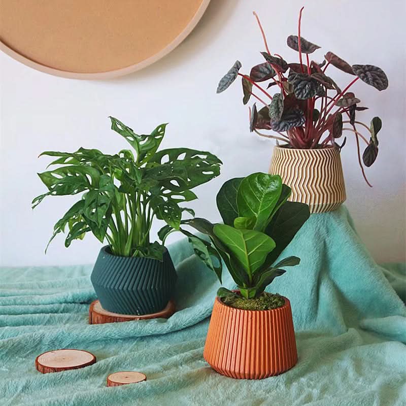 Creative Cement Succulent Basin - 3D Lines Flower Pot