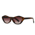 Angular Cat Eye Sunglasses – Modern Retro Design with Stylish Temple Detailing
