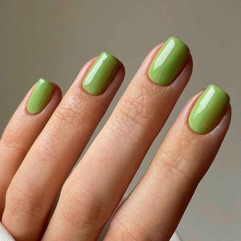 Classic Solid Color Press-On Nails – Short Square Reusable False Nails