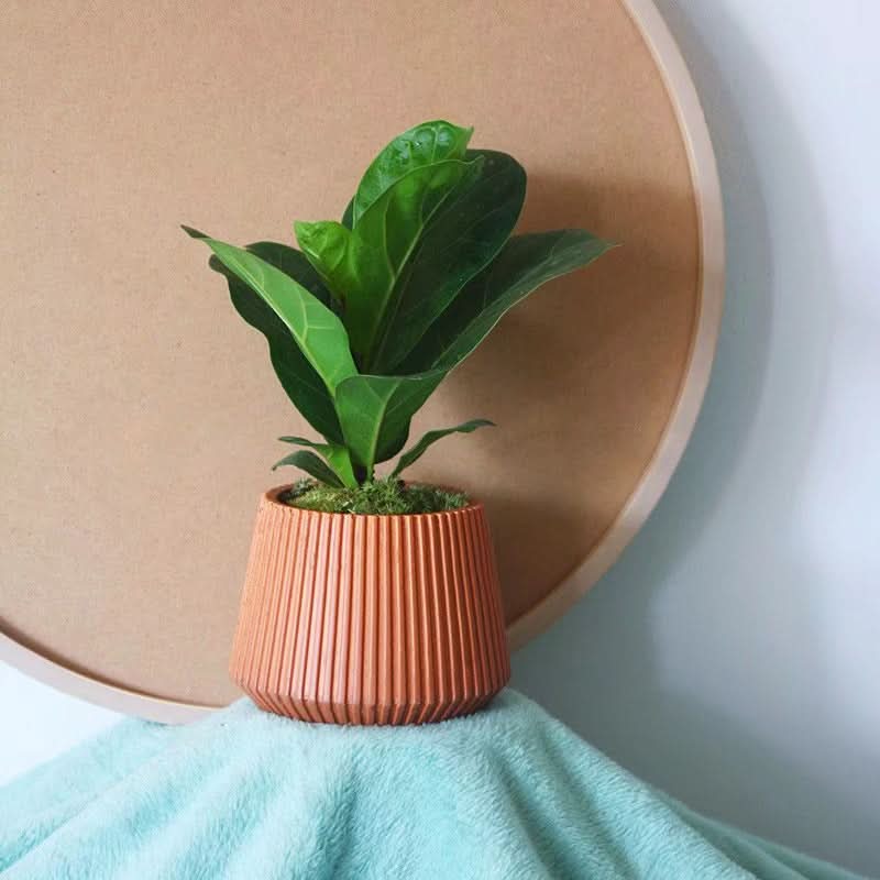 Creative Cement Succulent Basin - 3D Lines Flower Pot