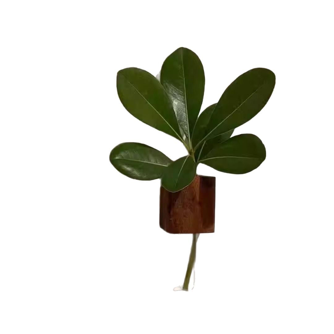 Magnetic Wooden Flower Vase – Test Tube Fridge Decor, Solid Wood Mini Planter