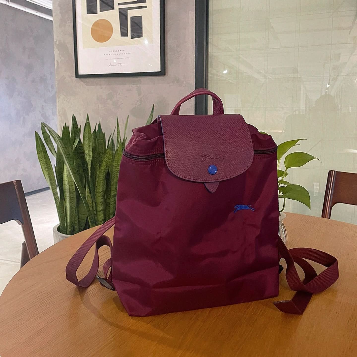 Women's Nylon School Backpack – Stylish Embroidered Shoulder Bag