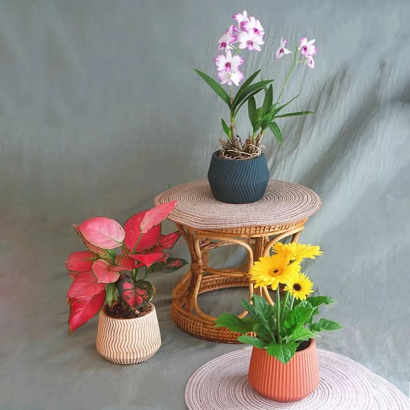Creative Cement Succulent Basin - 3D Lines Flower Pot