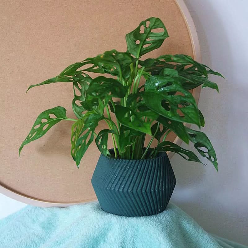 Creative Cement Succulent Basin - 3D Lines Flower Pot