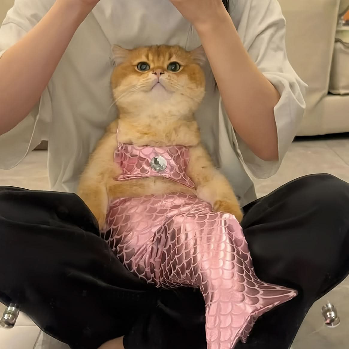 Adorable Cat Mermaid Costume for Small Pets