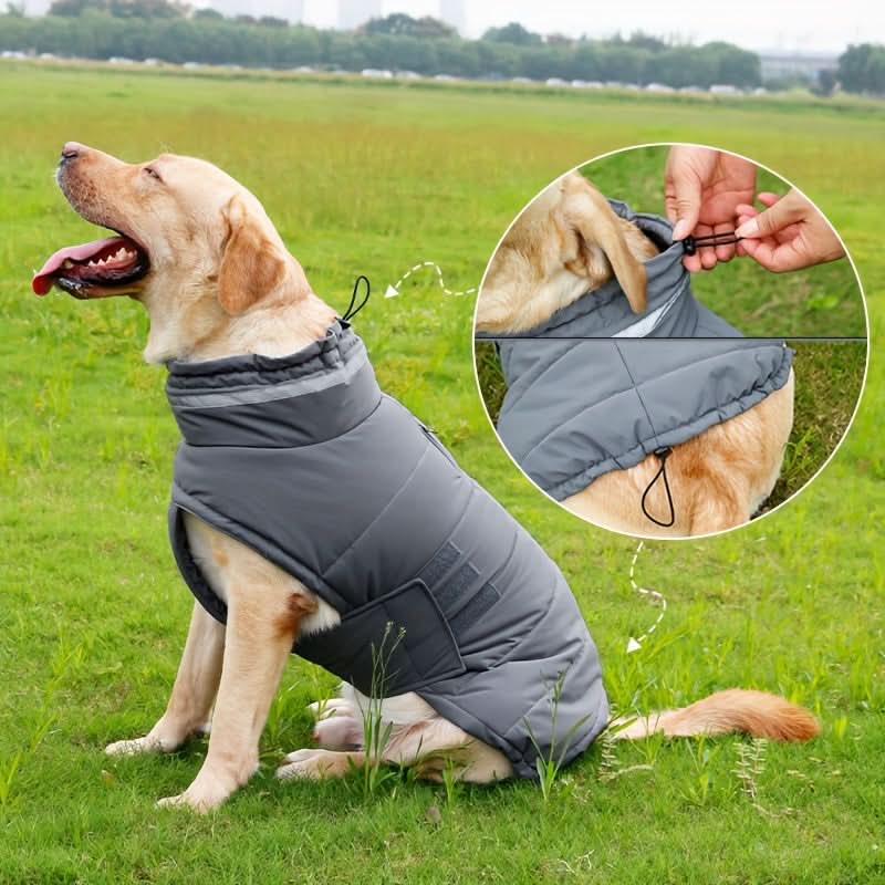 Waterproof Dog Winter Coat with Harness