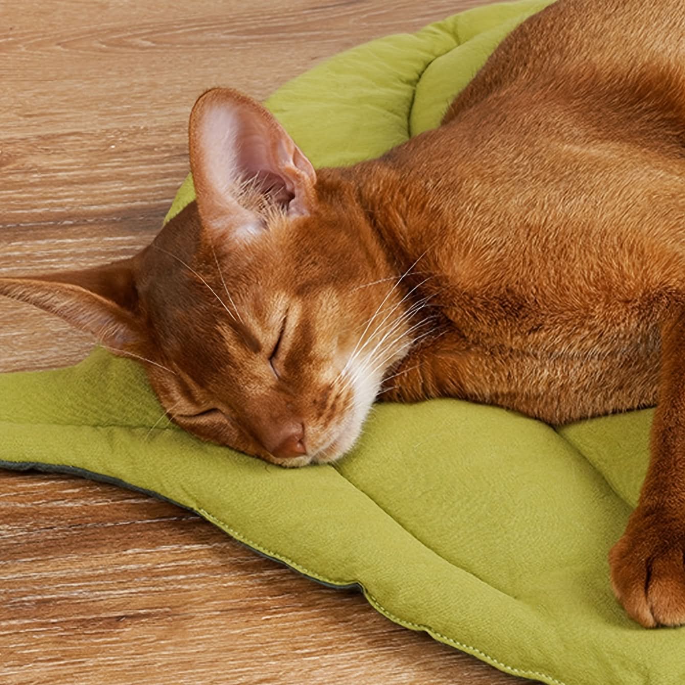 Leaf-Shaped Pet Mat – Stylish & Cozy