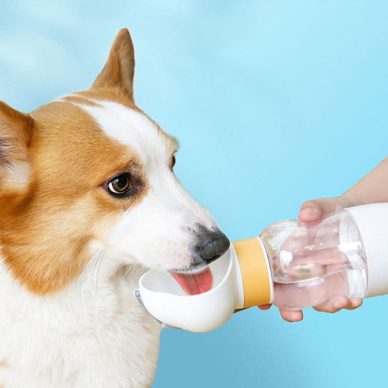 Portable Pet Feeding Cup