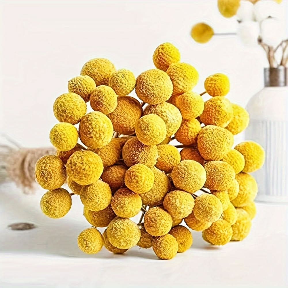 10/20/30pcs Dried Craspedia Flowers for Decor