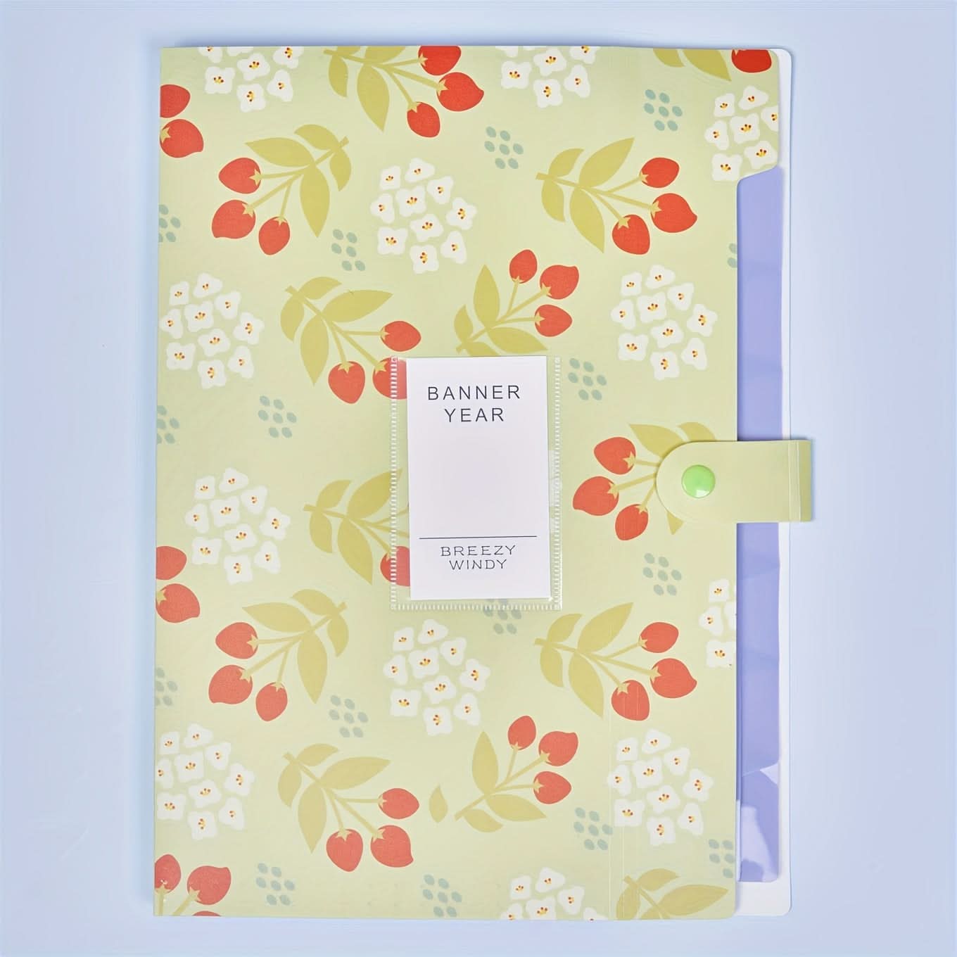 Waterproof Accordion File Folders