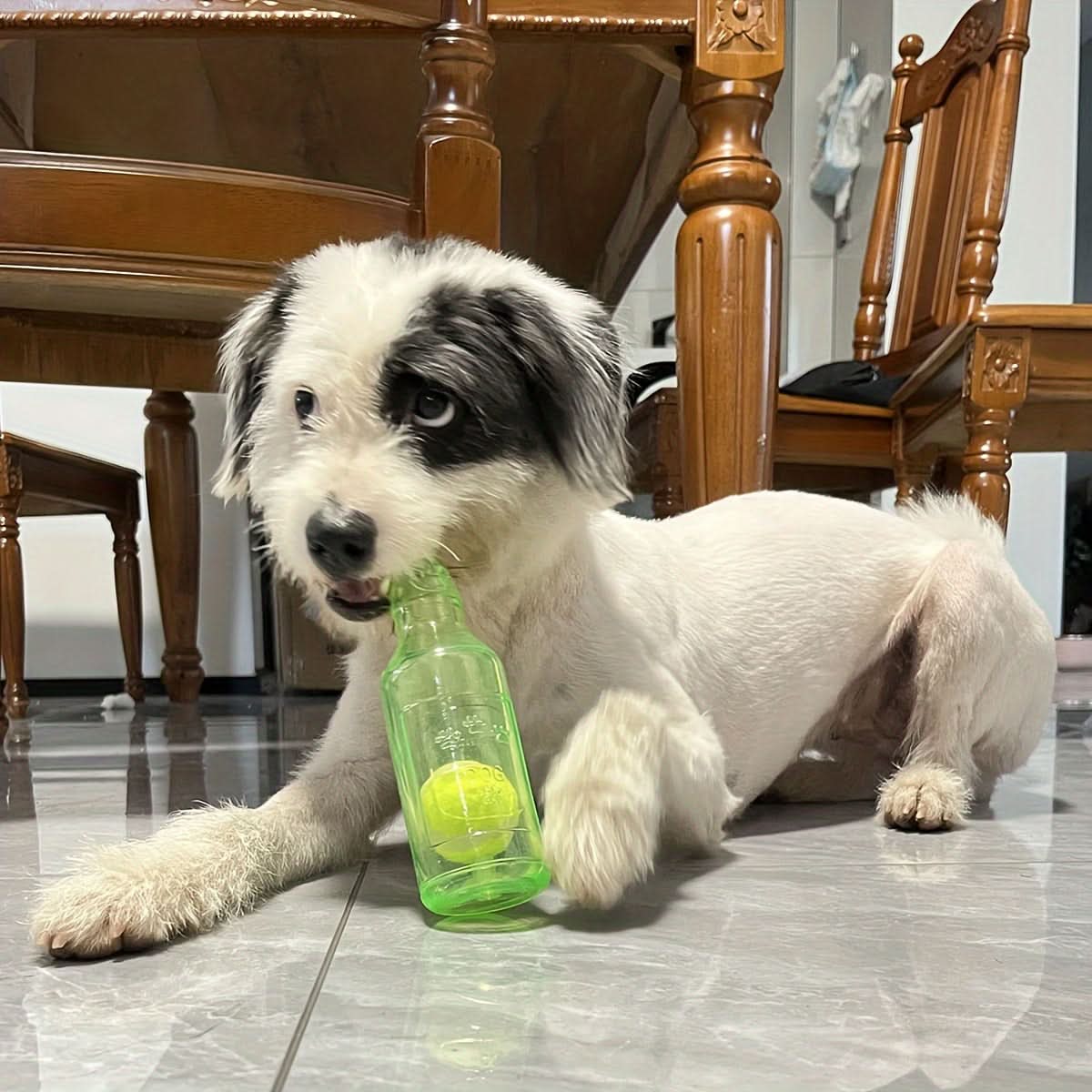 Floating Squeaky Tennis Ball Toy – Durable, All-Breed Dog Fun