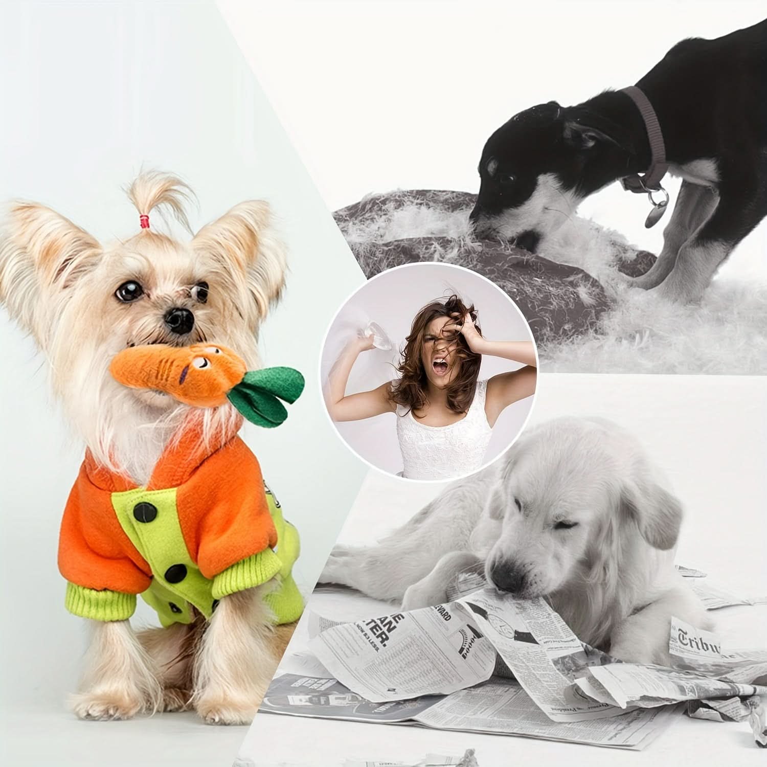 Squeaky Dog Toys – Plush Cotton Blend Fruit-Shaped Puppy Toys, 12 Pcs Set