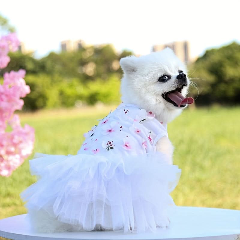 Breathable Pullover Dog Dress – Summer Pet Apparel