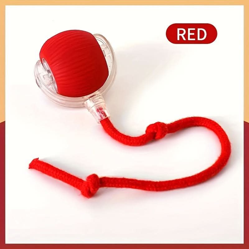 USB Rechargeable Interactive Cat Training Ball