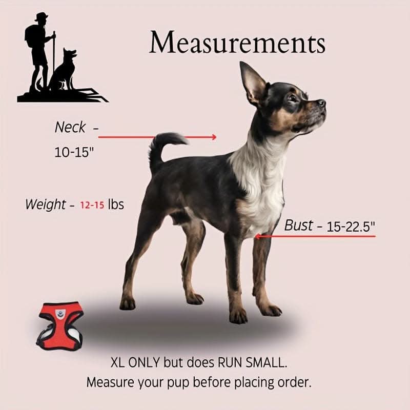 Adjustable Mesh Dog Harness & Leash Set