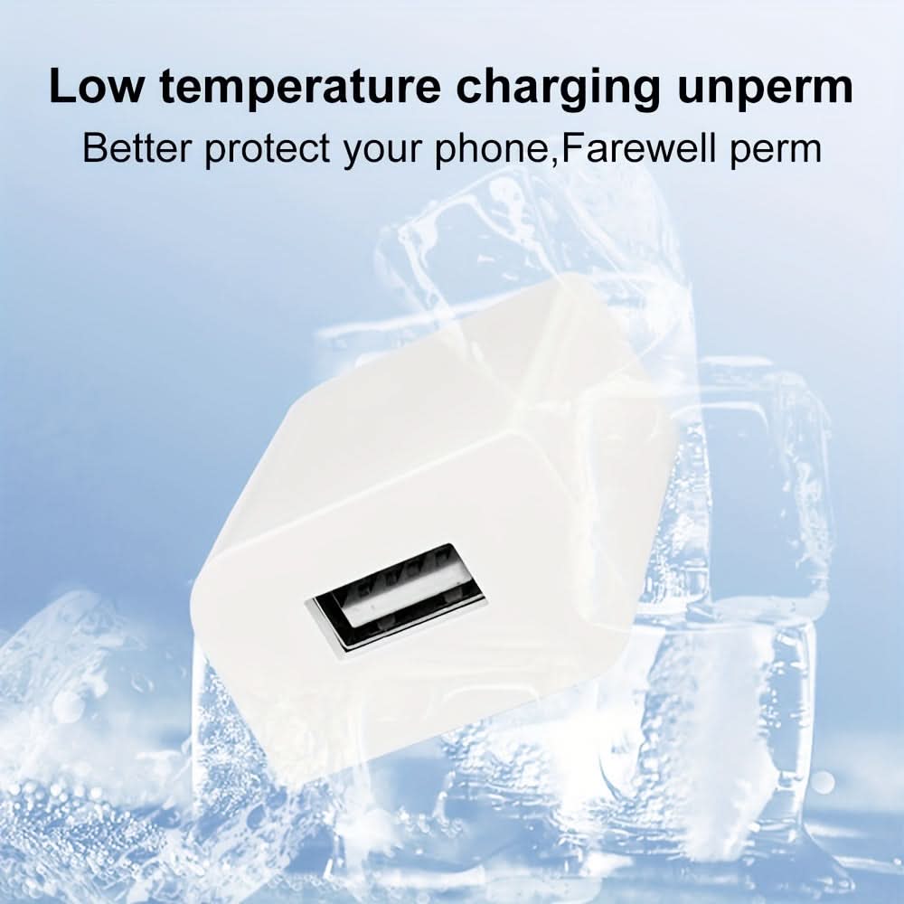 High-Speed USB Wall Charger for iPhone/Samsung