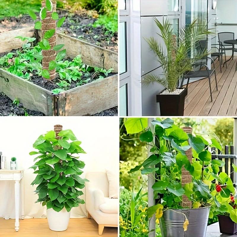 Stackable Wooden Moss Pole for Climbing Plants