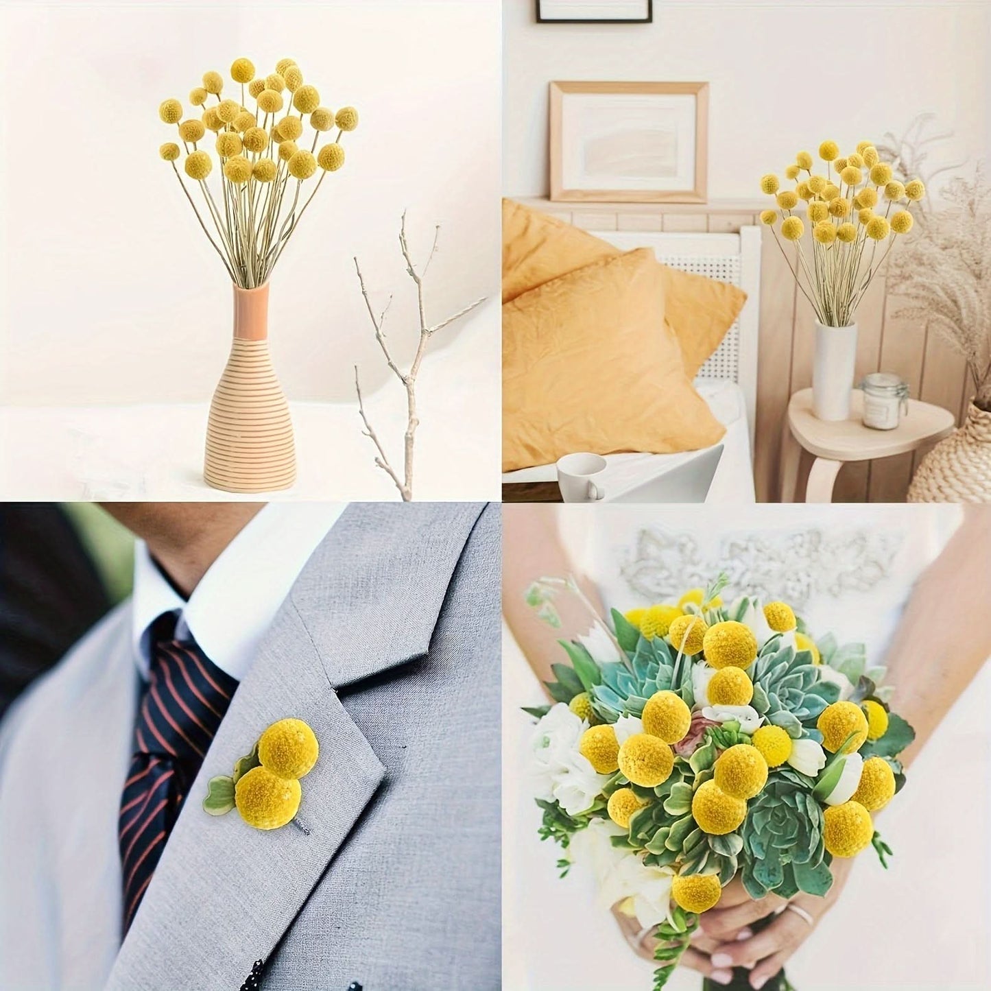 10/20/30pcs Dried Craspedia Flowers for Decor