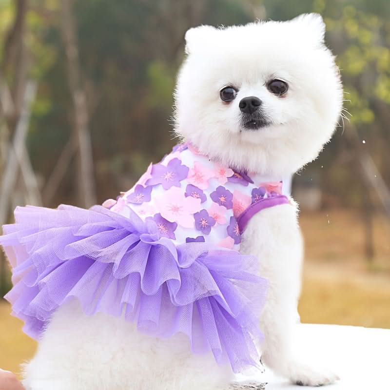 Breathable Pullover Dog Dress – Summer Pet Apparel