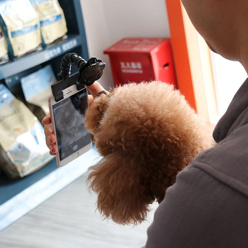 Pet Selfie Stick with Flower Clip