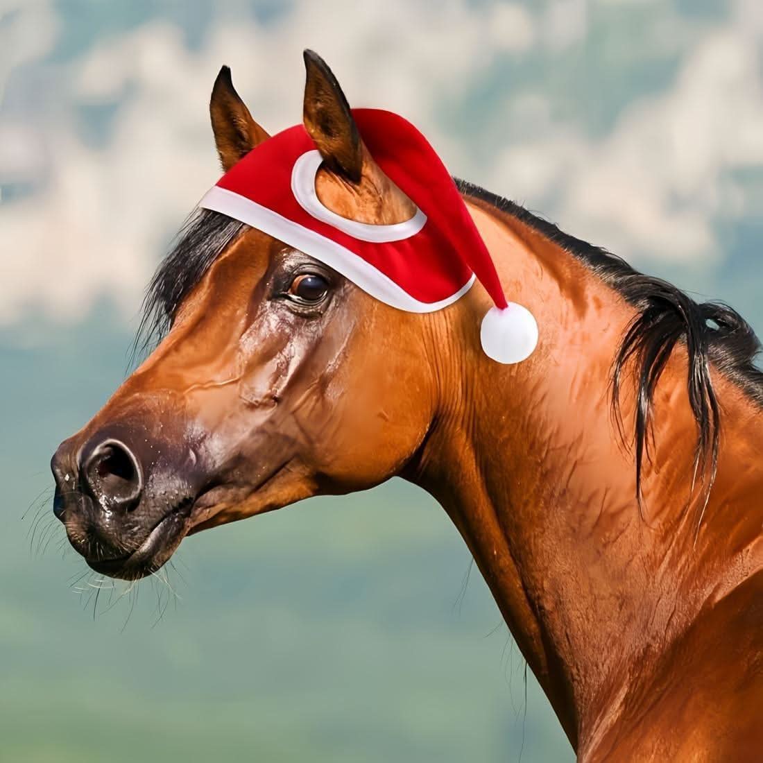Red Santa Hat for Horses – Fleece-Trimmed
