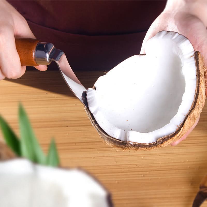 Stainless Steel Coconut Meat Removal Knife – Coconut Opener & Scraper