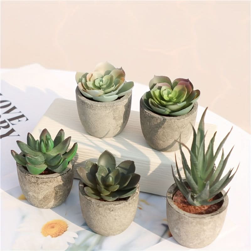 5pcs Mini Artificial Succulent Plants – Realistic Potted Decor