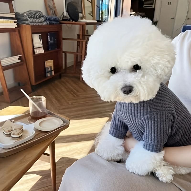 Warm Dog Sweaters - Fashionable Pineapple Pattern Pullover
