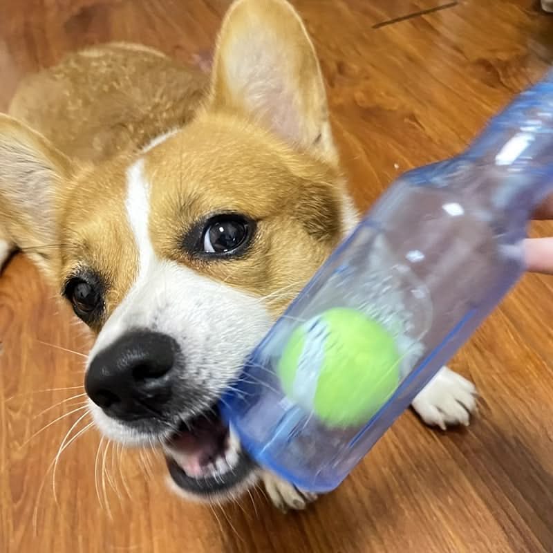 Durable Dog Chew Toy with Sound