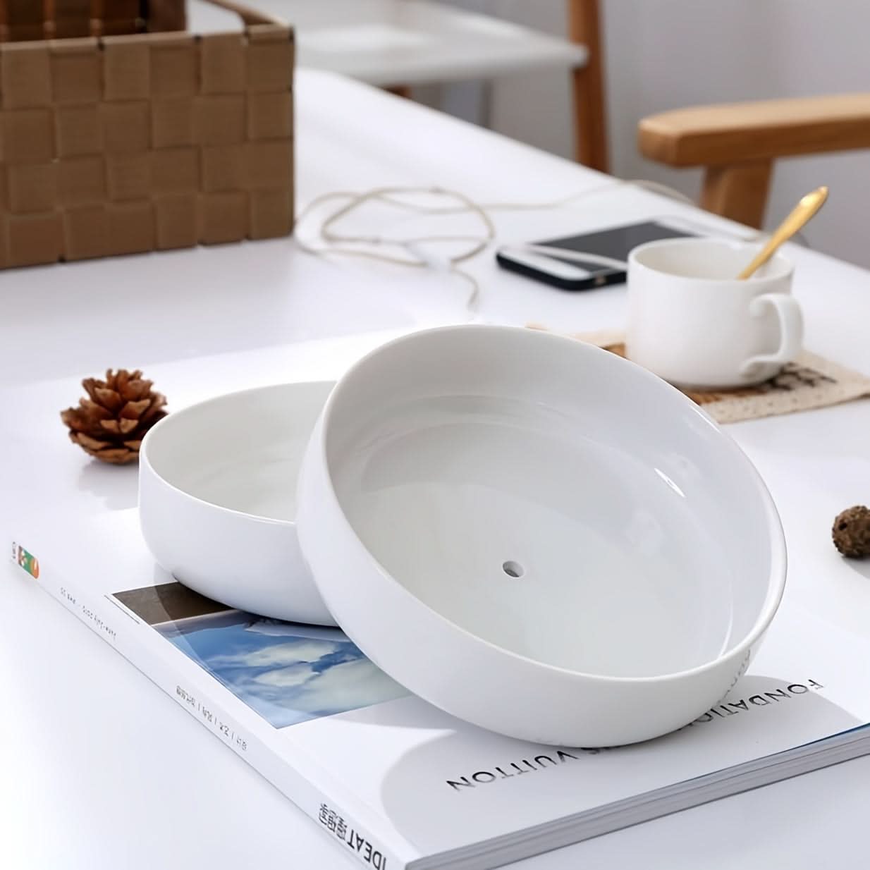 Modern White Ceramic Round Cactus Planter