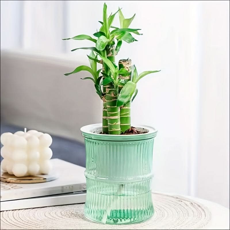 Self-Watering Bamboo Flower Pot