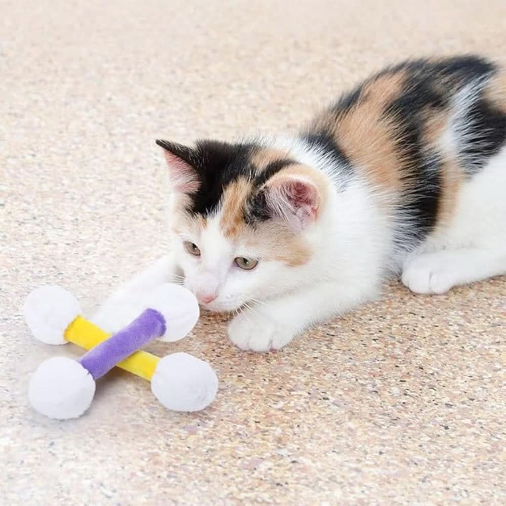 Set of 6 Interactive Toys for Indoor Cats