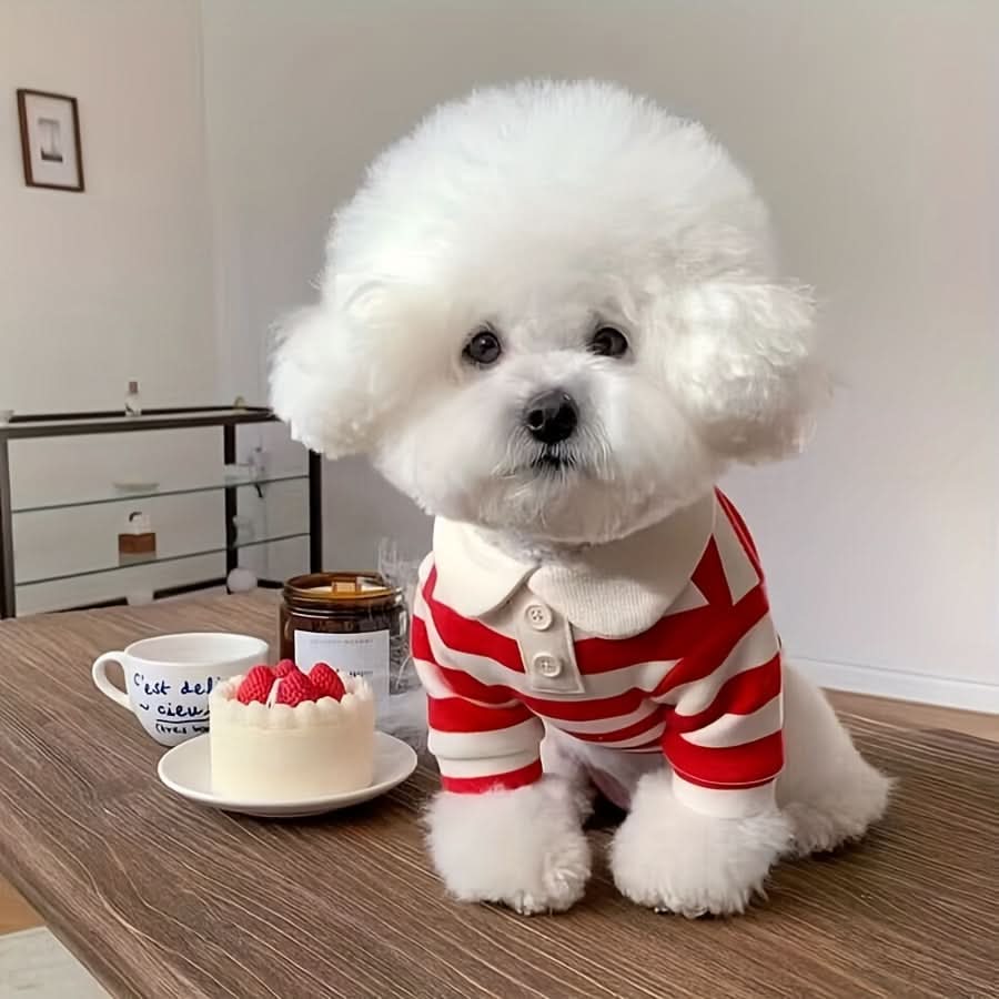 Cozy Striped Dog T-Shirt with Leash Attachment – Soft Knit Pet Apparel for All Seasons