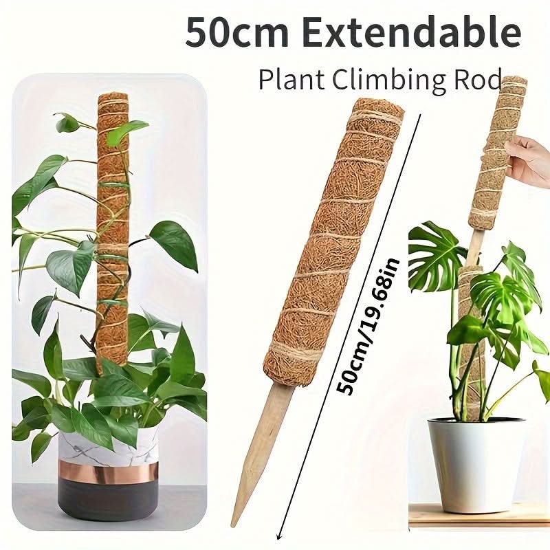 Stackable Wooden Moss Pole for Climbing Plants
