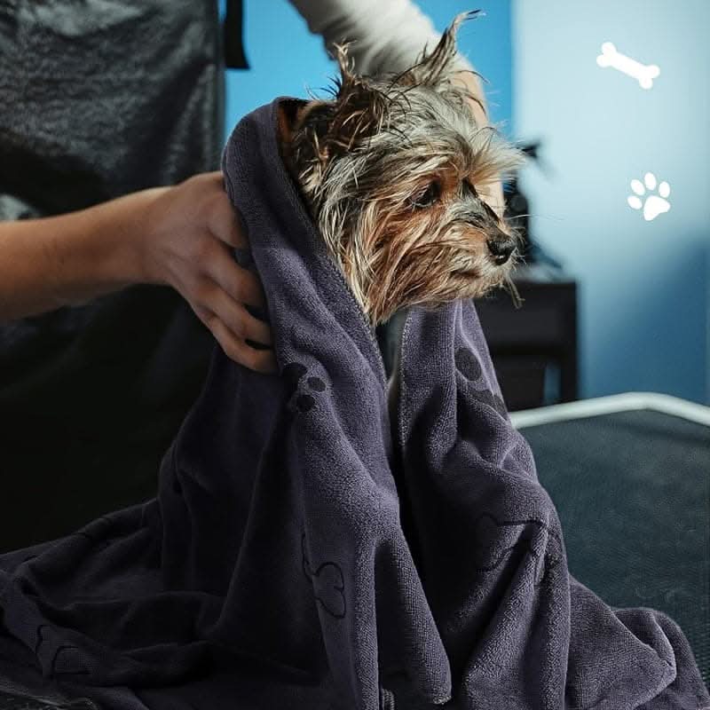 Microfiber Pet Towel Set for Dogs & Cats